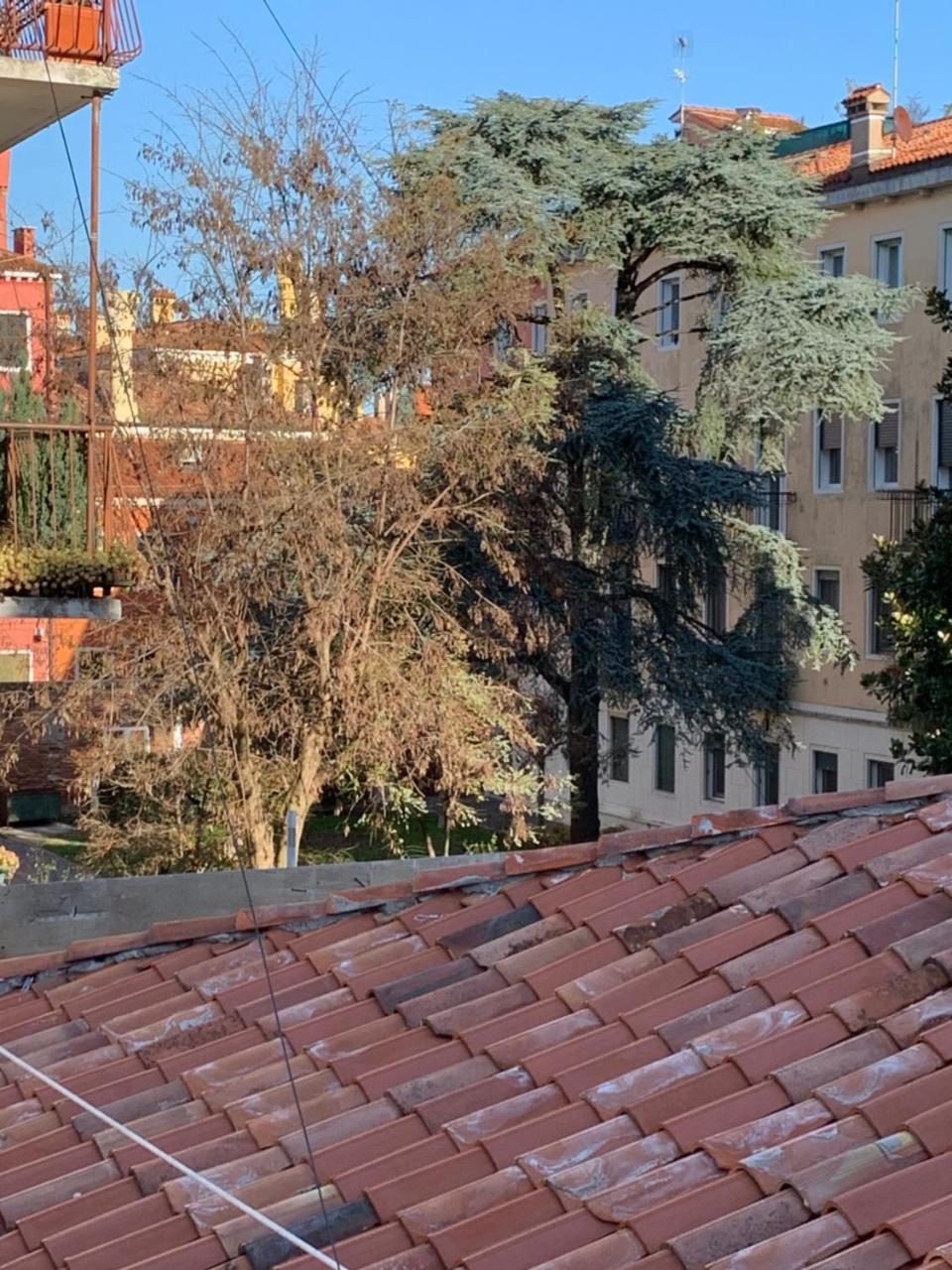 Royal Guest House Βενετία Εξωτερικό φωτογραφία